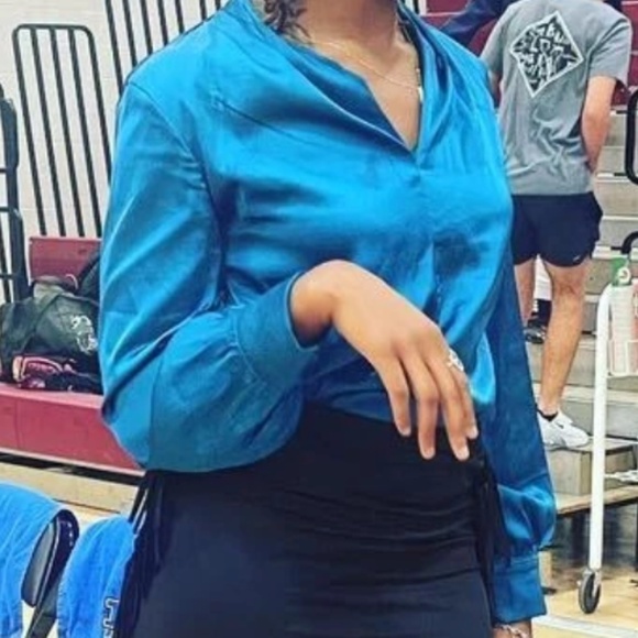 Luxe Satin V neck Long Sleeve Minimalist Blouse - Picture 6 of 11